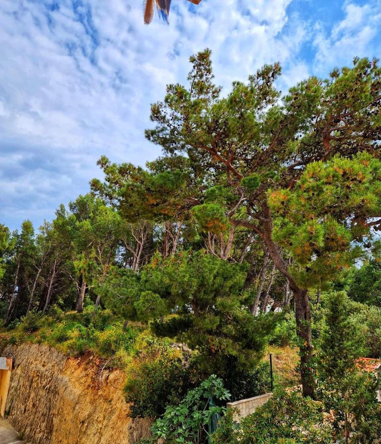 Apartman Mar18 Makarska Extérieur photo
